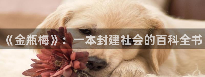 拷贝漫画老版本